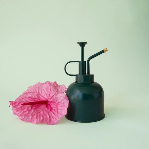 Planters & Plant Accessories