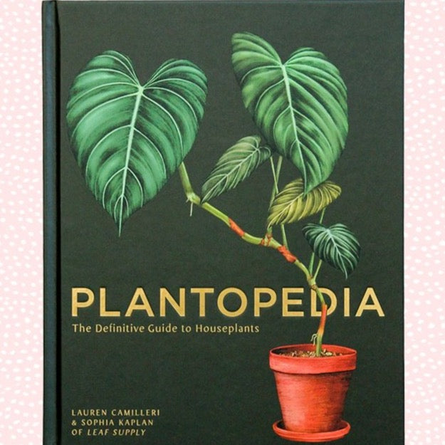house plants book Plantopedia: The Definitive Guide to Houseplants